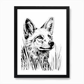 Fox Portrait Illustration 6 Art Print