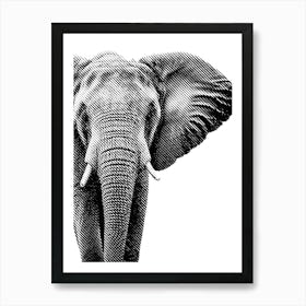 Elephant Line Art 2 Póster