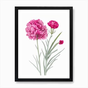 Carnation Floral Quentin Blake Inspired Illustration 1 Flower Art Print