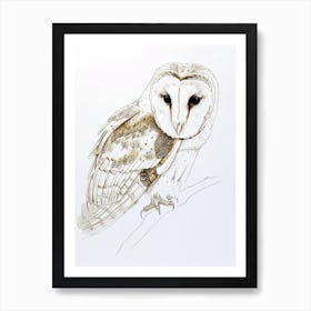 Barn Owl Drawing 4 Art Print