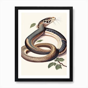 Egyptian Cobra Snake 1 Vintage Art Print