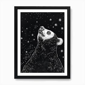 Malayan Sun Bear Looking At A Starry Sky Ink Illustration 2 Art Print