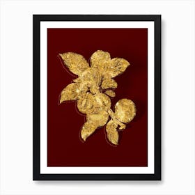 Vintage Apple Botanical in Gold on Red n.0039 Art Print