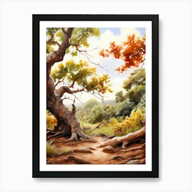 Autumn Trees In The Forest Art Print