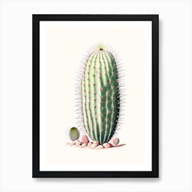 Melocactus Cactus Marker Art 3 Art Print