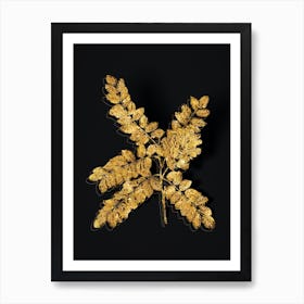 Vintage Clammy Locust Botanical in Gold on Black n.0243 Art Print
