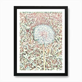 Dandelion Art Print