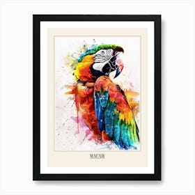 Macaw Colourful Watercolour 1 Poster Art Print