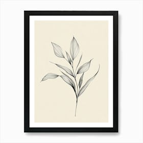 Drawing Of A Leaf Art Print