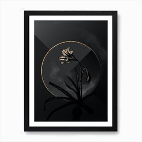 Shadowy Vintage Amaryllis Broussonetii Botanical in Black and Gold Art Print