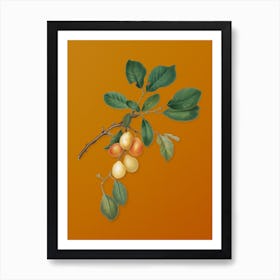 Vintage Cherry Botanical on Sunset Orange n.0579 Art Print