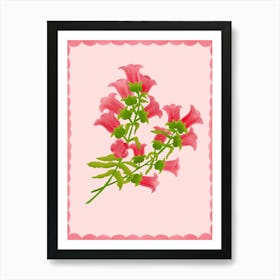 Pink Calampula Flower Art Print