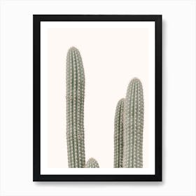 Muted Green Cactus Art Print