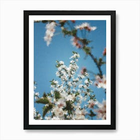 Flowers On Tree Branches, Oil Painting Art Print