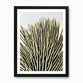 Acropora Gomezi Linocut Art Print