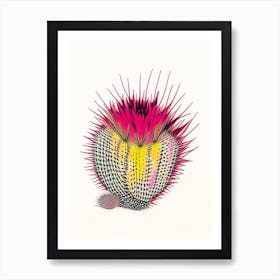 Hedgehog Cactus Minimal Line Drawing 1 Art Print