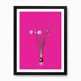 Vintage Daffodil Black and White Gold Leaf Floral Art on Hot Pink n.0378 Art Print