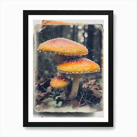 Mushrooms Retro Photo Inspired 4 Art Print