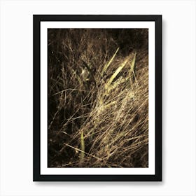 Wild Tall Grass at Night in Richmond Park Art Print