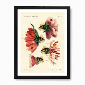 Pink fish Art Print