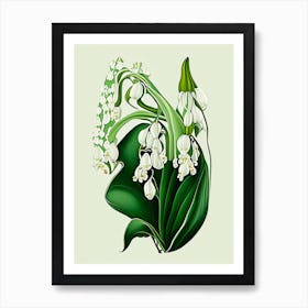 Lily Of The Valley Wildflower Vintage Botanical 1 Art Print