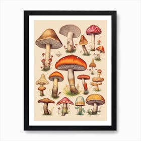 Vintage Mushrooms 2 Art Print