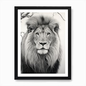 African Lion Realism Portrait 1 Art Print