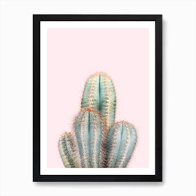 Cactus On Pink Art Print