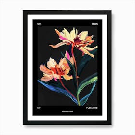 No Rain No Flowers Poster Everlasting Flower 1 Art Print