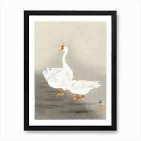 Two Geese (1900 1930), Ohara Koson 1 Affiche