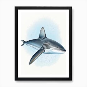 Grey Reef Shark Vintage Art Print