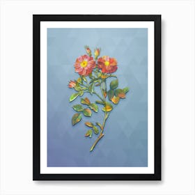 Vintage Elizabeth's Sweetbriar Rose Botanical Art on Summer Song Blue n.0741 Art Print