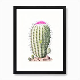 Mammillaria Cactus Marker Art 1 Art Print