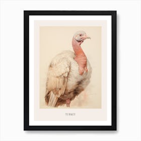Vintage Bird Drawing Turkey 2 Poster Art Print