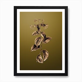 Gold Botanical New Jersey Tea on Dune Yellow Art Print