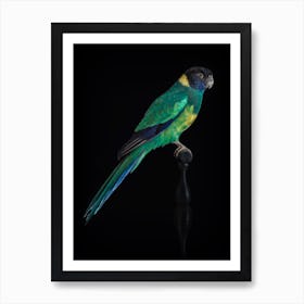 Green Parakeet Poster