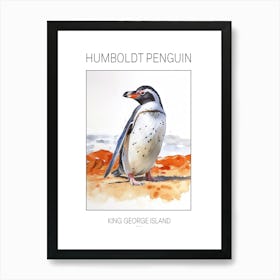 Humboldt Penguin King George Island Watercolour Painting 4 Poster Art Print