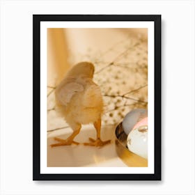 Easter Chick 6 Art Print