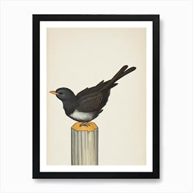 Chimney Swift Illustration Bird Art Print