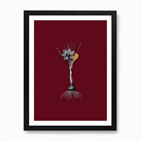 Vintage Crocus Sativus Black and White Gold Leaf Floral Art on Burgundy Red Art Print