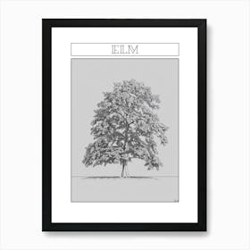 Elm Tree Minimalistic Drawing 3 Poster Art Print