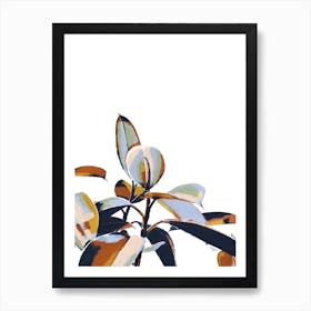 Ficus Eleastica Art Print