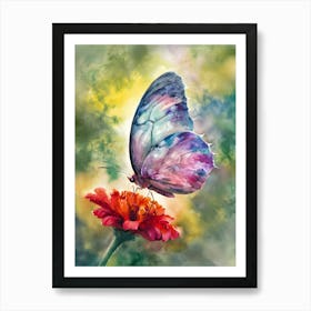 Butterfly On A Flower Art Print