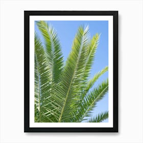 Summer in Portugal - green palmtree leaves with a clear blue sky - botanical nature and travel photography by Christa Stroo Art Print