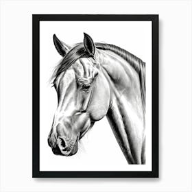 Highly Detailed Pencil Sketch Portrait of Horse with Soulful Eyes 13 Art Print