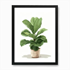 Fig Plant Art Print