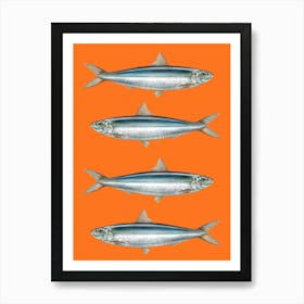 Sardine Fish On A Orange Background Art Print Art Print