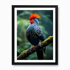 Rainforest Melody: Andean Jungle Bird Decor Art Print