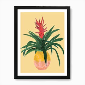 Bromeliad Plant Minimalist Illustration 5 Art Print