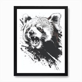 Red Panda Growling Ink Illustration 1 Art Print